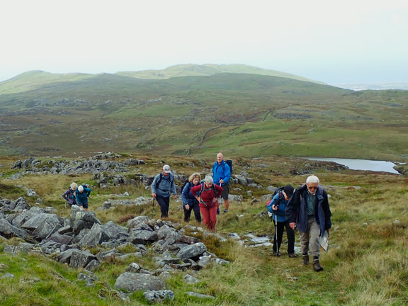 3. Moel Ysgyfarnogod - Foel Penolau - Bryn Cader Faner
20/9/26. Making our way up hill between Llyn Eiddew Bach and Llyn y Dwarchen.
Keywords: Sep26 Sunday Noel Davey